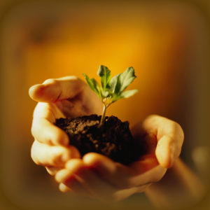 Plant a Better World!